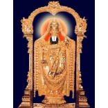 Swarna Alangar of Lord Venkatesh